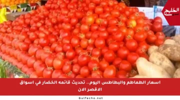 أسعار الطماطم والبطاطس اليوم.. تحديث قائمة الخضار في أسواق الأقصر الآن